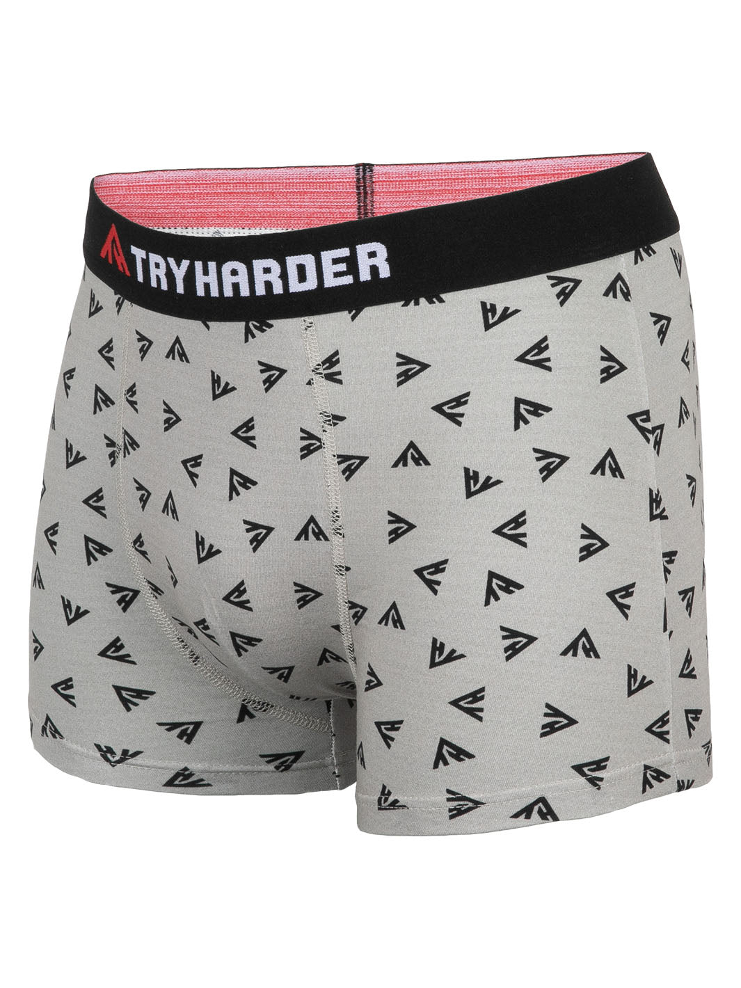 TRYHARDER - Boxer - Grau Logo klein 1 Pack